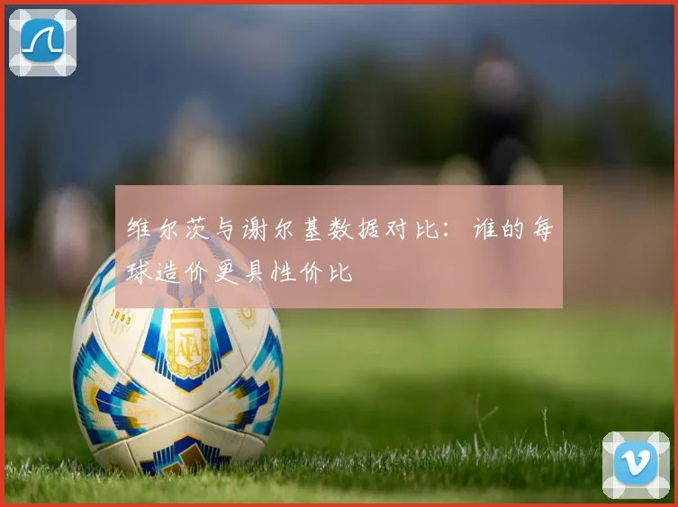 维尔茨与谢尔基数据对比：谁的每球造价更具性价比