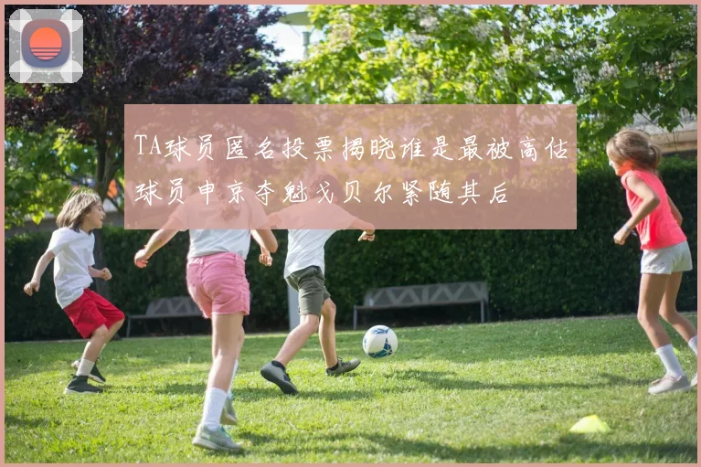 TA球员匿名投票揭晓谁是最被高估球员申京夺魁戈贝尔紧随其后